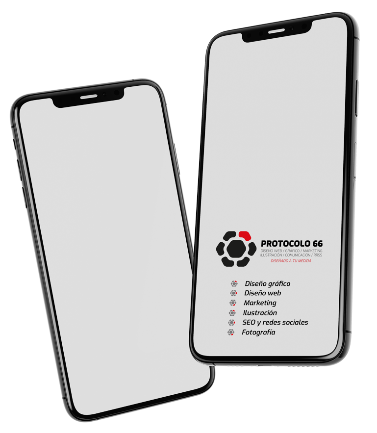 Disenoweb-en-PamplonaNavarra-Protocolo66
