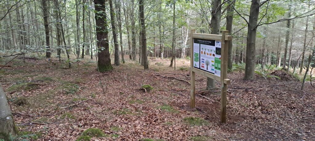 Cartel para el Marteloscopio de Arronategi: el aula forestal de Bermeo que se comunica a dos caras