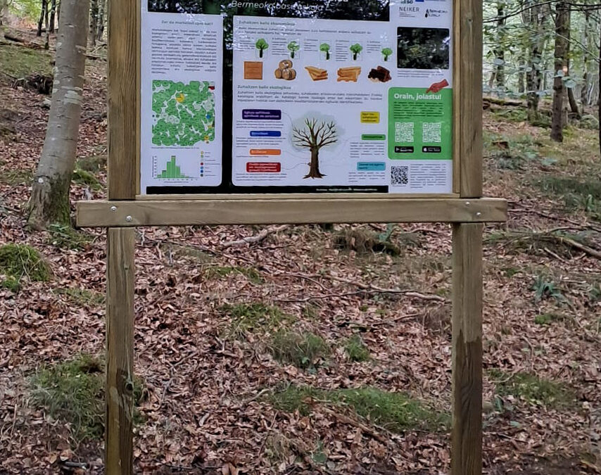 Cartel para el Marteloscopio de Arronategi: el aula forestal de Bermeo que se comunica a dos caras