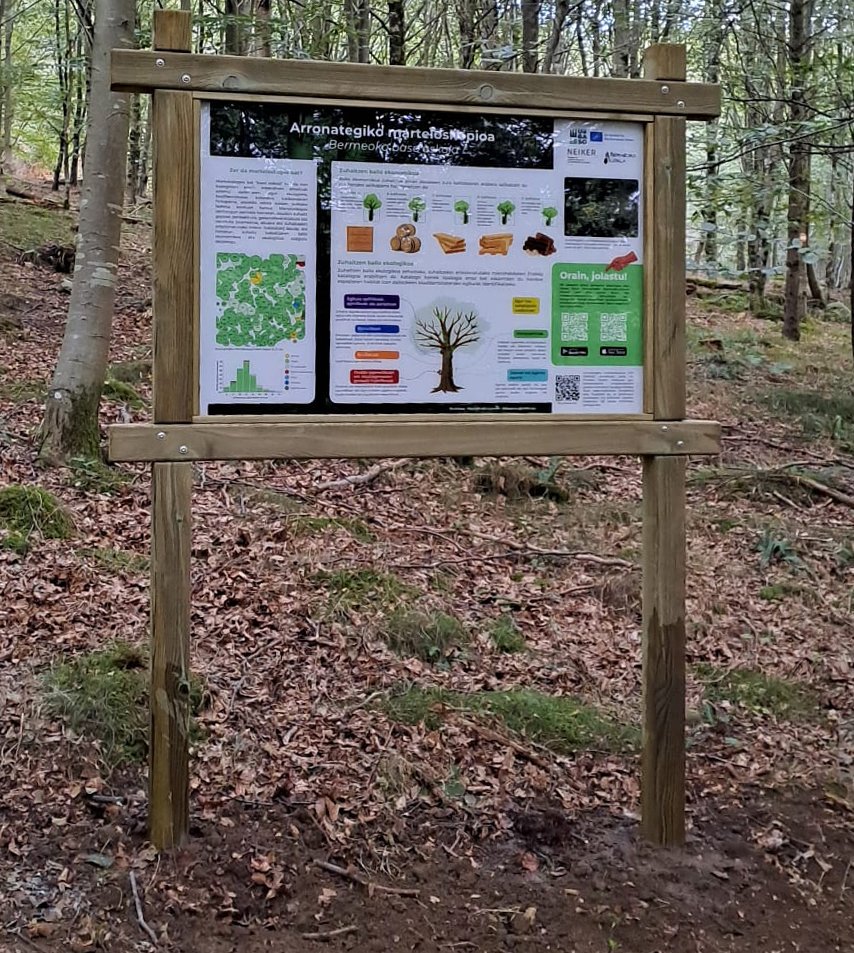 Cartel para el Marteloscopio de Arronategi: el aula forestal de Bermeo que se comunica a dos caras