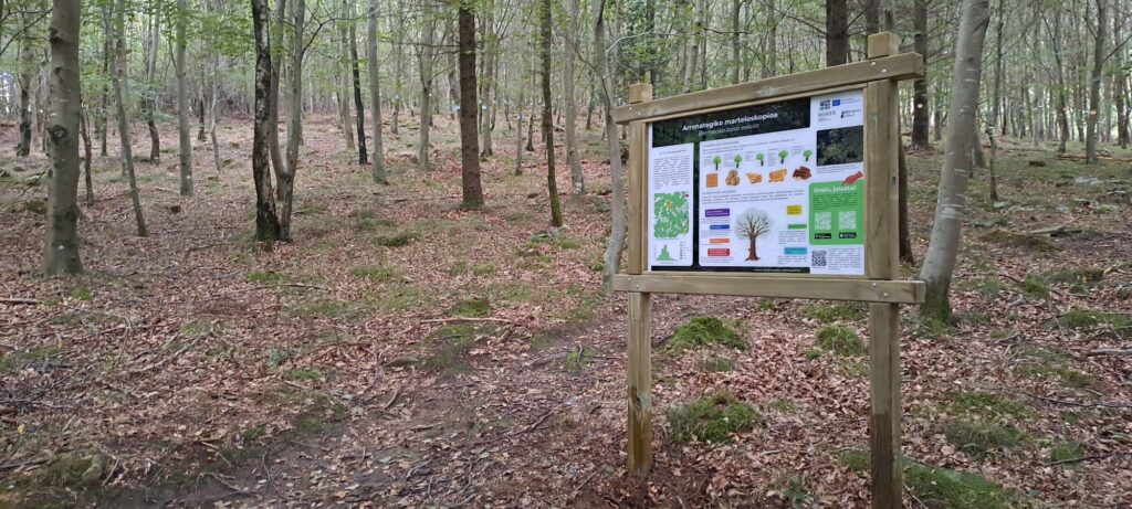 Cartel para el Marteloscopio de Arronategi: el aula forestal de Bermeo que se comunica a dos caras