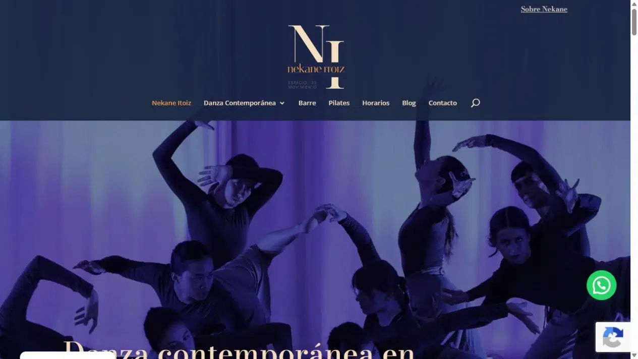 Web de Nekane Itoiz · Espacio de Movimiento